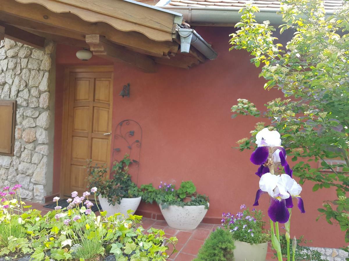 Mediterran Apartman Pécs Exterior foto