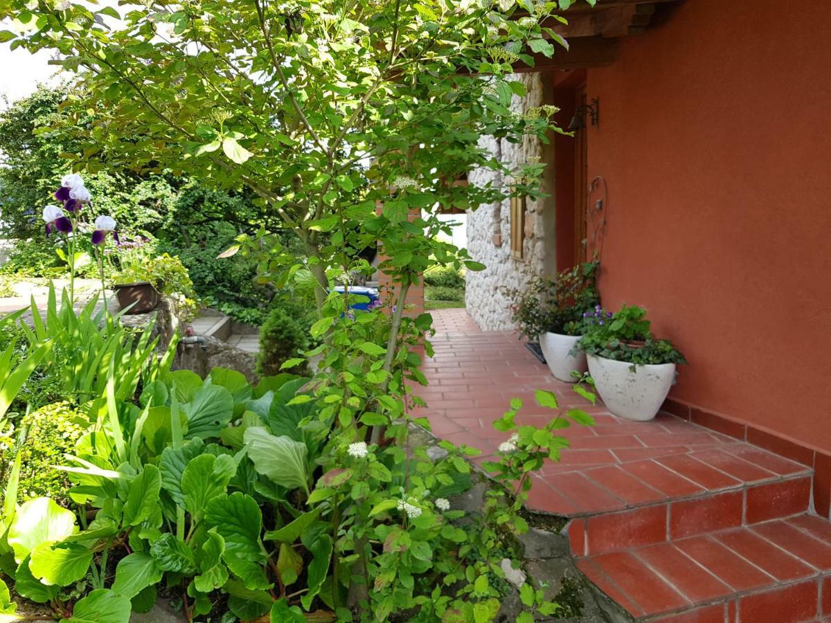 Mediterran Apartman Pécs Exterior foto