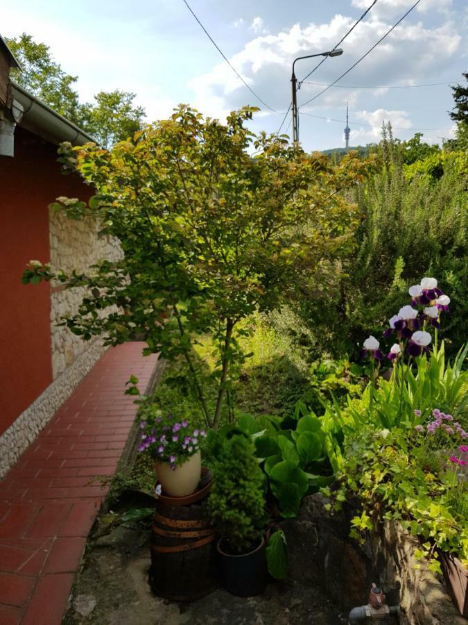 Mediterran Apartman Pécs Exterior foto